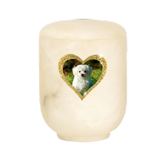 Edition Alabaster